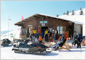 ALPINE ZONE